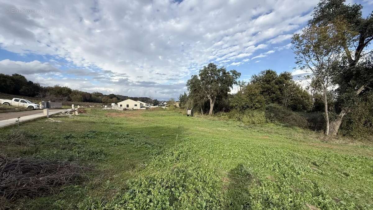 Terrain à POGGIO-MEZZANA