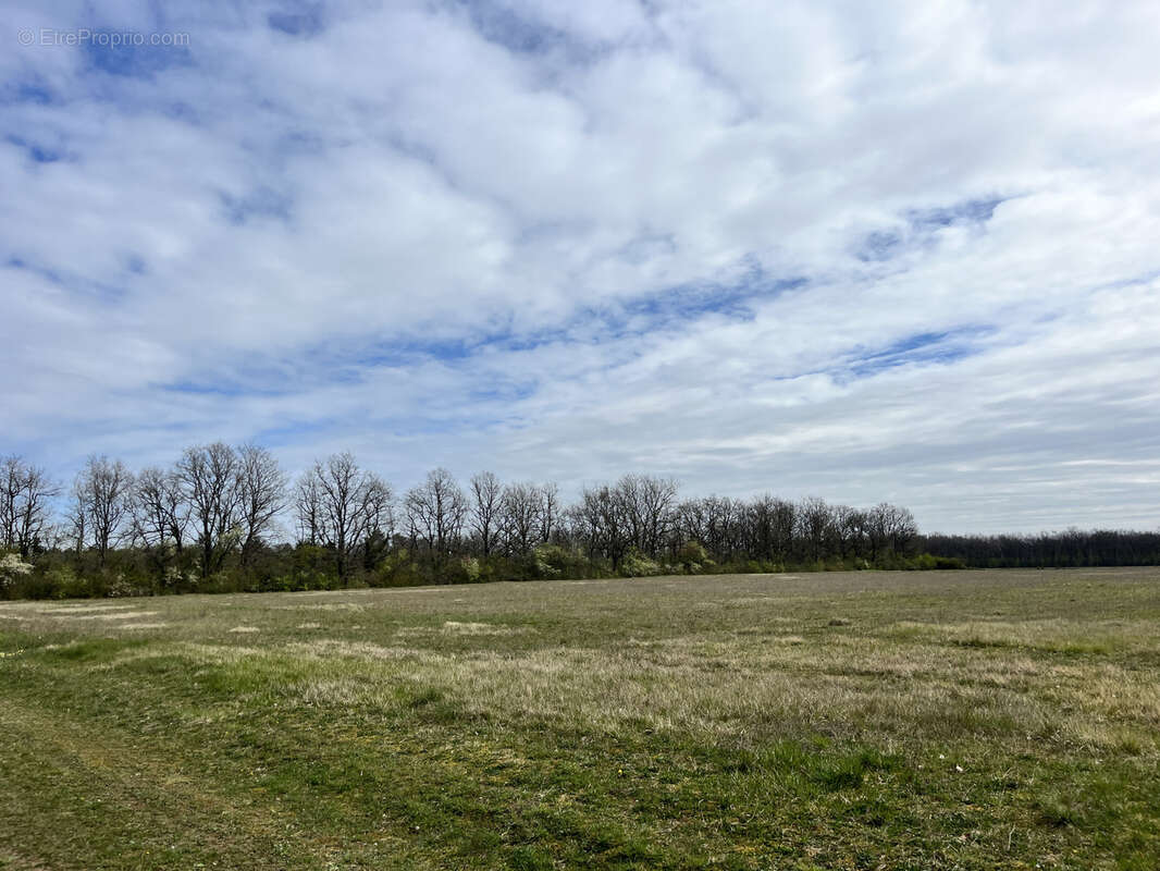 Terrain à NOGENT-SUR-VERNISSON
