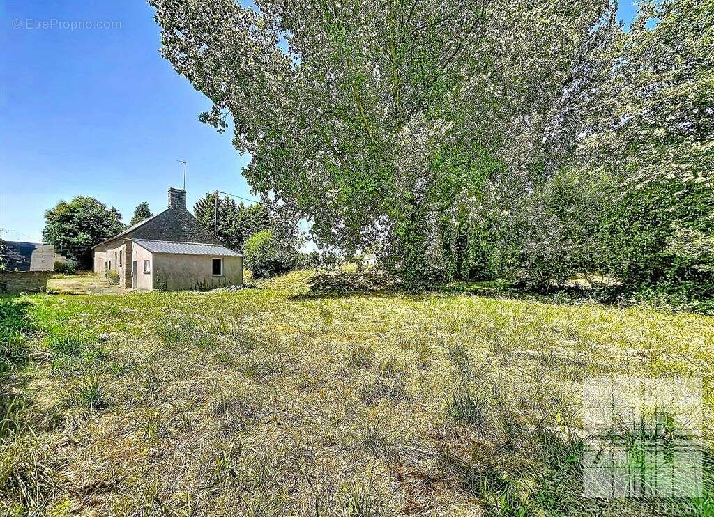 Propriété en pierre à rénover avec dépendances et 4 187 m² de terrain - photo 14