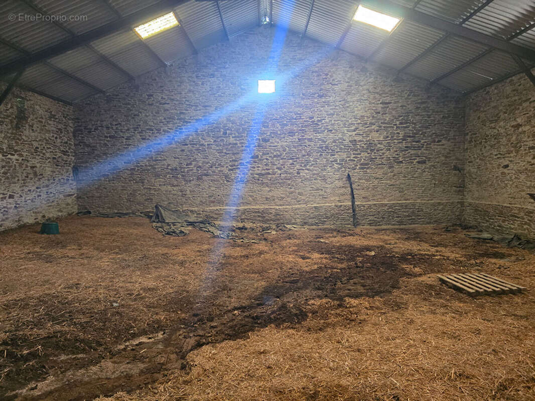 Corps de ferme avec maison, appartement et dépendances - Durenque - photo 8
