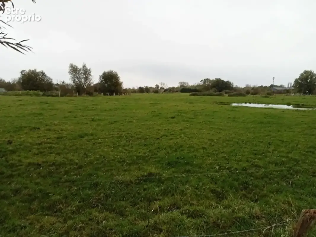 Terrain 2 335 m² à vendre à Saint-Quentin-En-Tourmont (80120) - photo 8