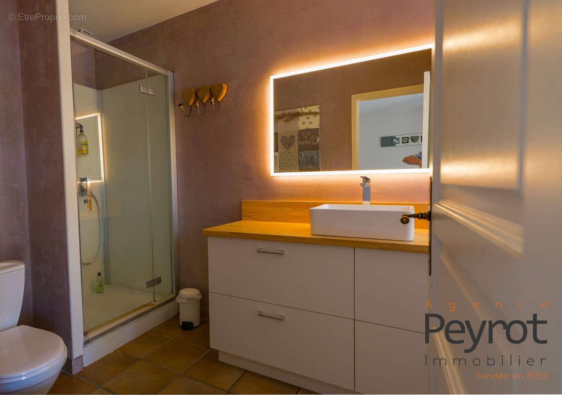 Maison 263 m² à Le Soler  - photo 9