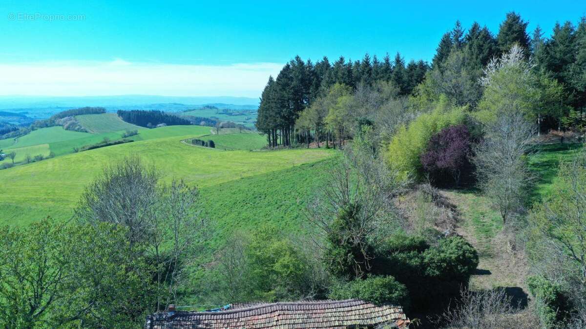 Maison à VIOLAY