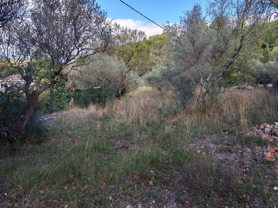 Terrain 1005 m² à Carnoules  - photo 3