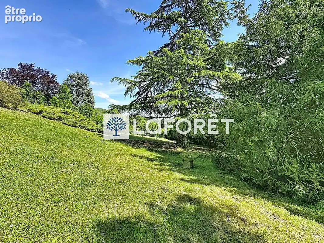 Maison hauteur Beynost - 110m² - 5 pièces - 1761m² de terrain - photo 13