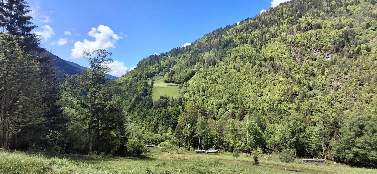 Grange typique du Beaufortain à rénover - photo 2