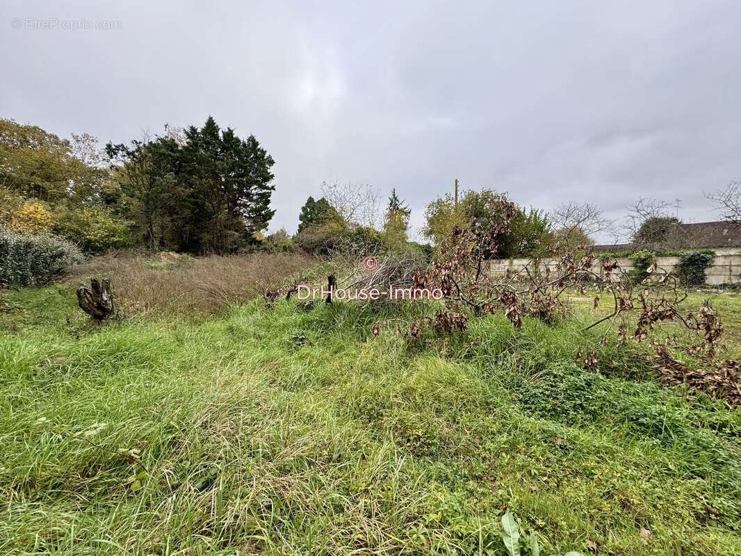 Terrain 2449 m² à Amilly  - photo 12