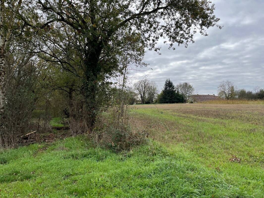 01 entrée terrain pour les deux lots - Terrain à BOUCAGNERES