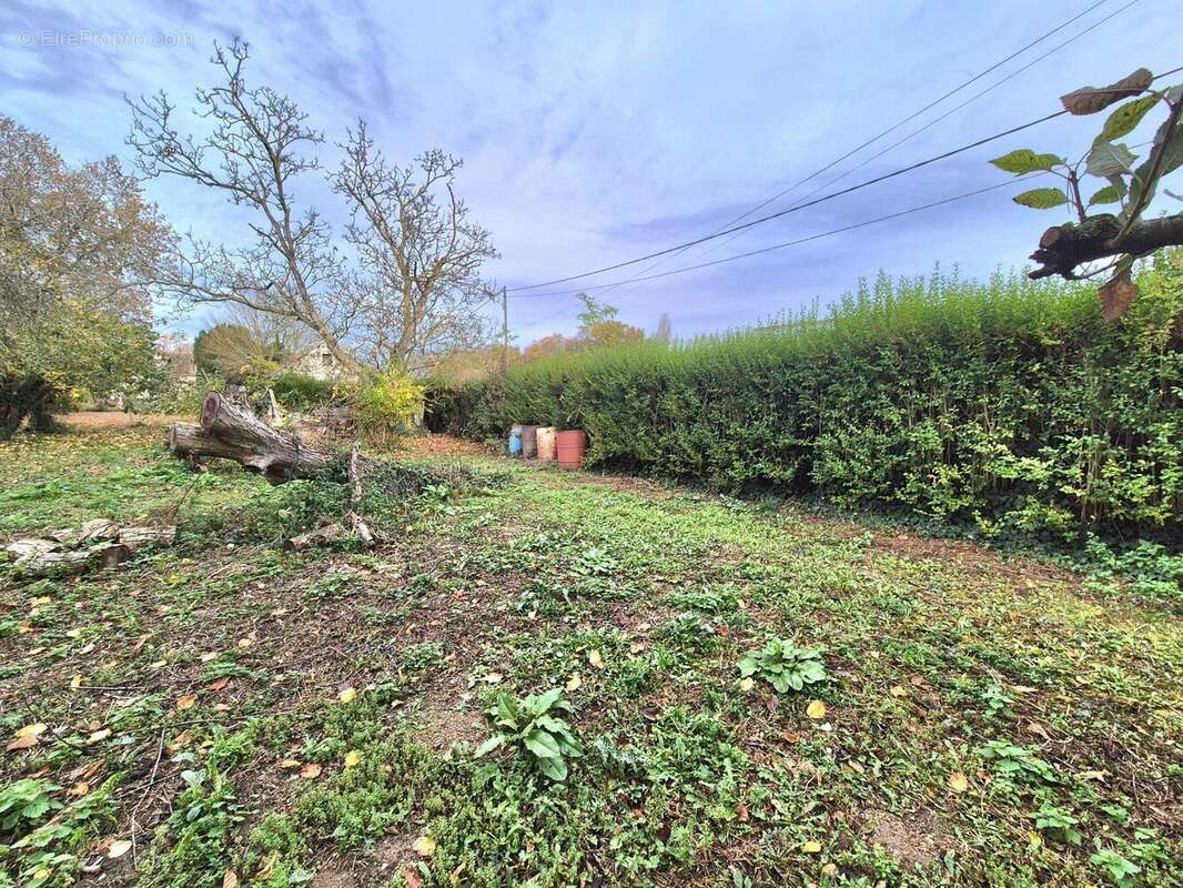 Photo 3 - Terrain à LOMMOYE