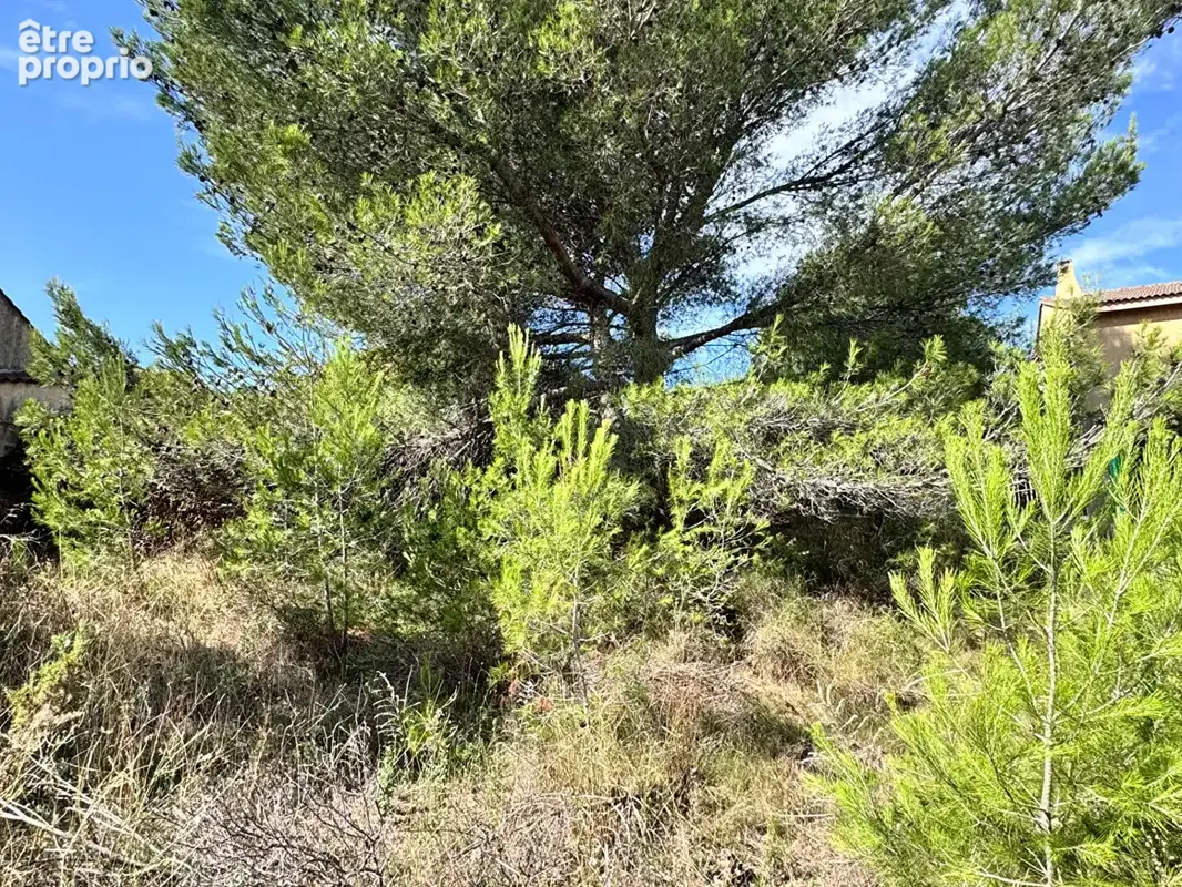 Terrain à MARTIGUES