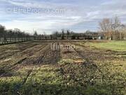 Terrain à DAUBENSAND