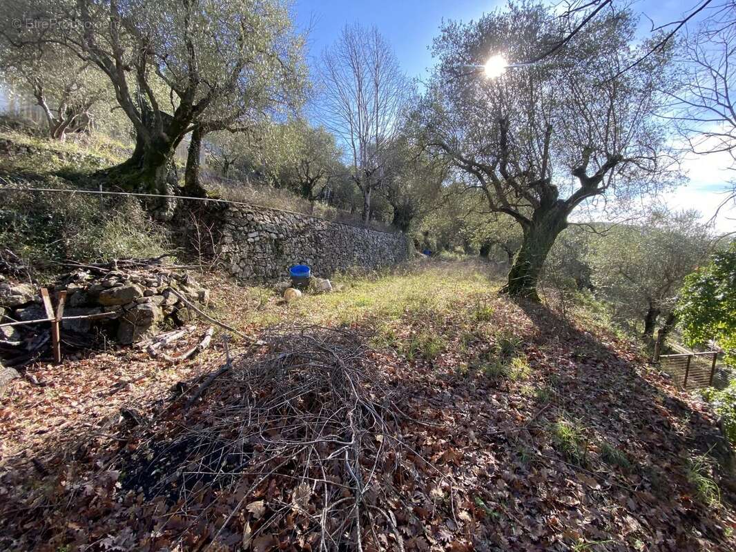 Terrain à DRAP