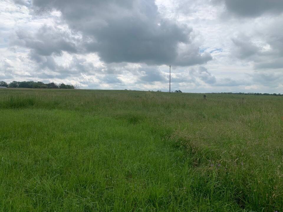 Terrain à DISTROFF