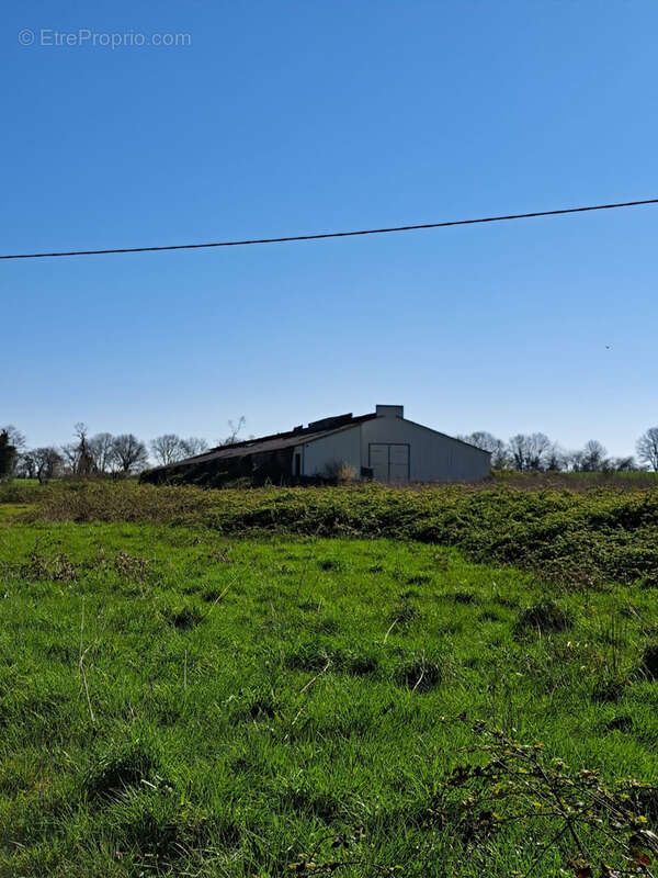 Maison à SAINT-AMAND-SUR-SEVRE