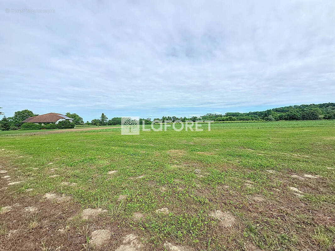 Terrain à SALIES-DE-BEARN