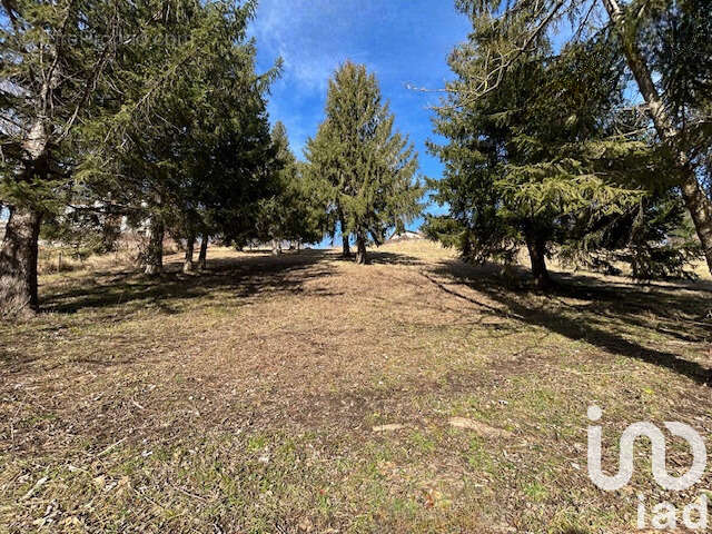 Photo 6 - Terrain à SAINT-PIERRE-D'ALLEVARD