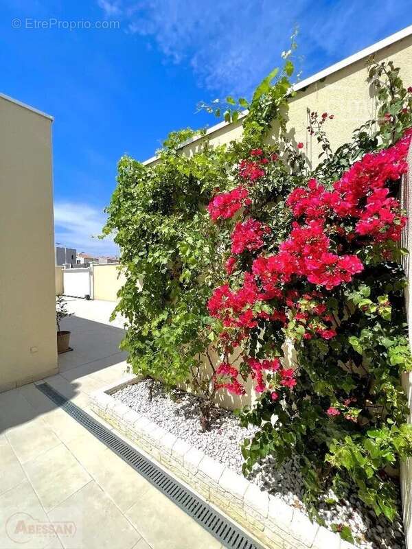 Maison à PORT-SAINT-LOUIS-DU-RHONE