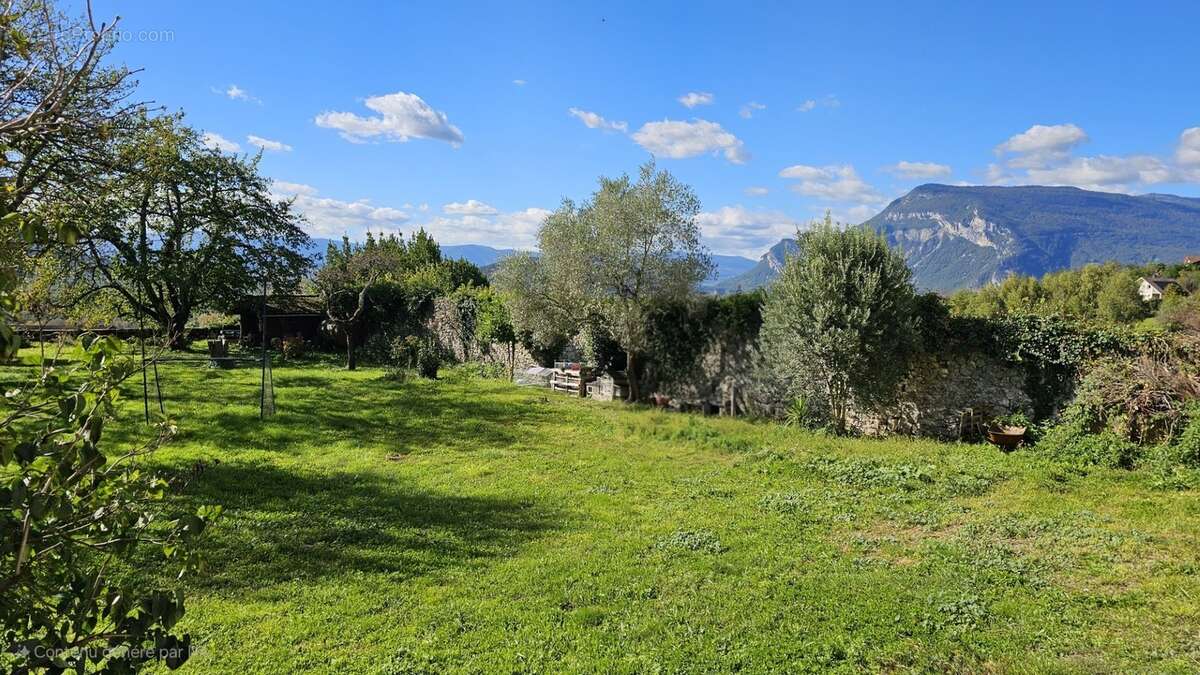 Authenticité et espace : grande maison mitoyenne en pierre avec 5 chambres à vendre à CHINDRIEUX avec garage et terrain proche d - photo 5