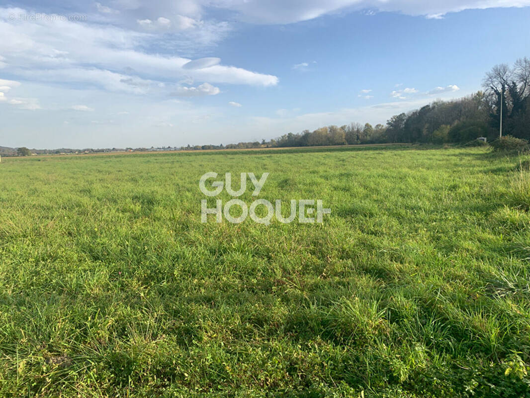 Terrain à LABASTIDE-CEZERACQ