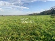 Terrain à LABASTIDE-CEZERACQ