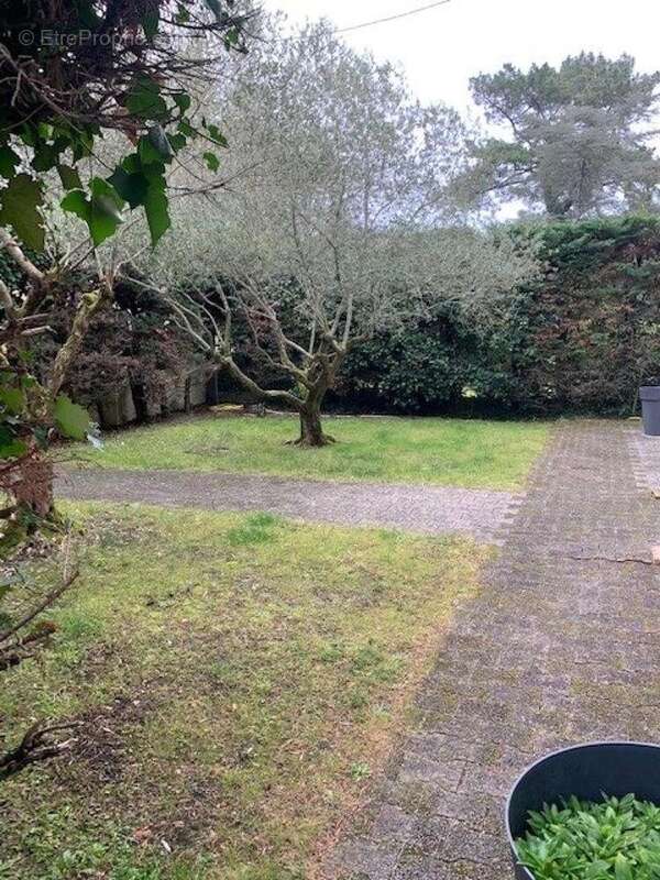 Photo 2 - Maison à ARCACHON