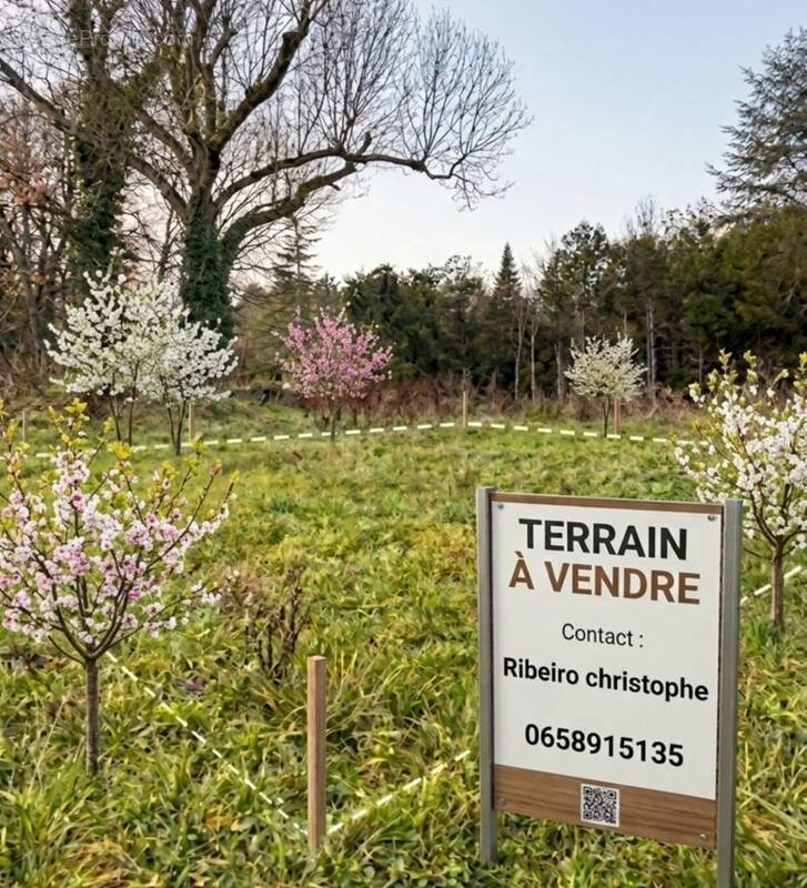 Terrain à ERMONT
