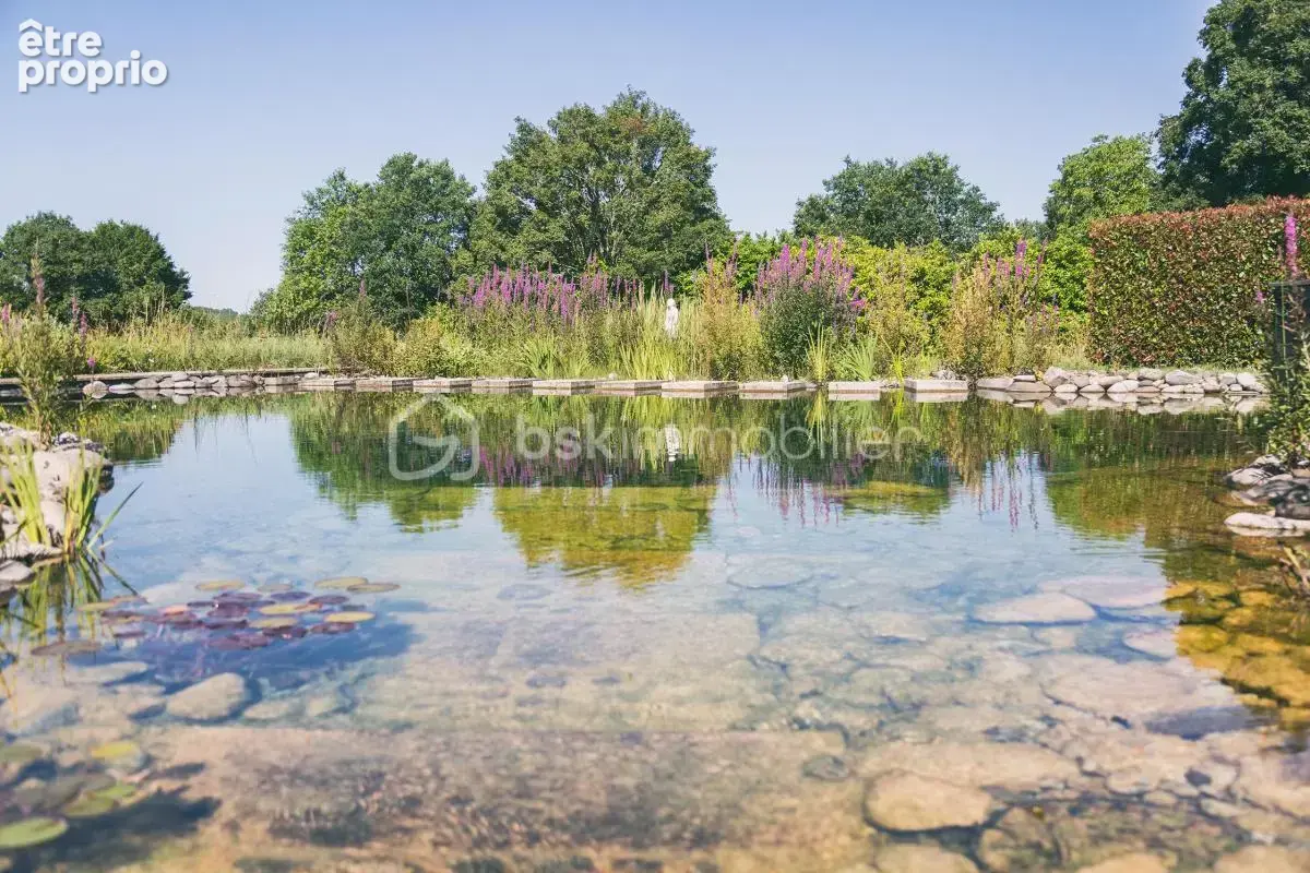 Maison contemporaine écologique avec piscine naturelle au cœur de la nature - photo 2