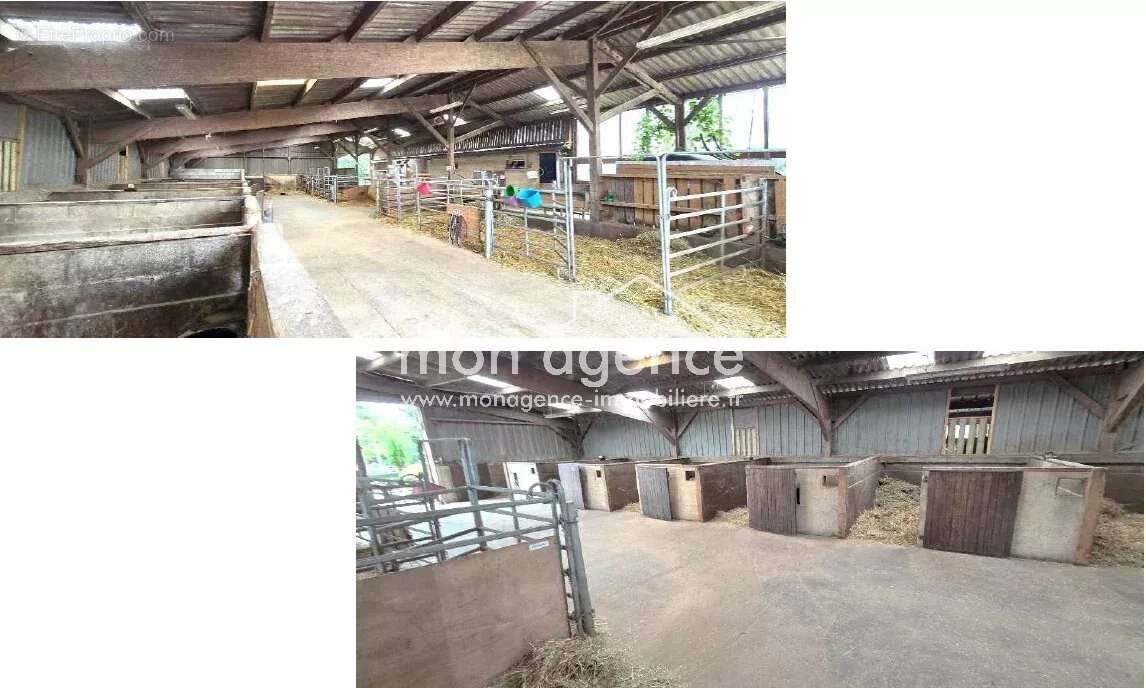 Commerce à FRANQUEVILLE-SAINT-PIERRE