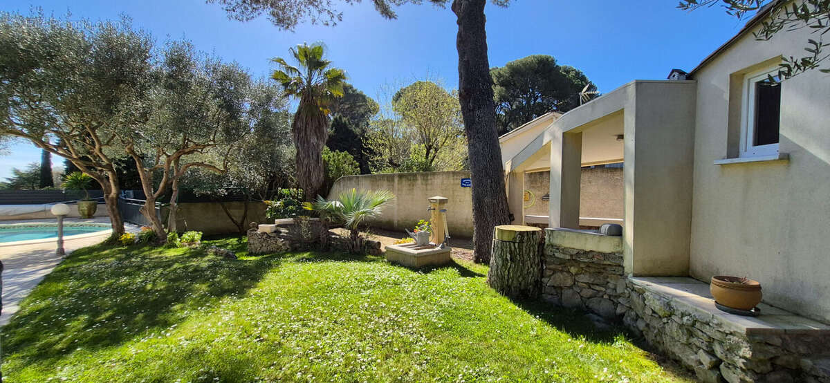 Maison à MONTPELLIER