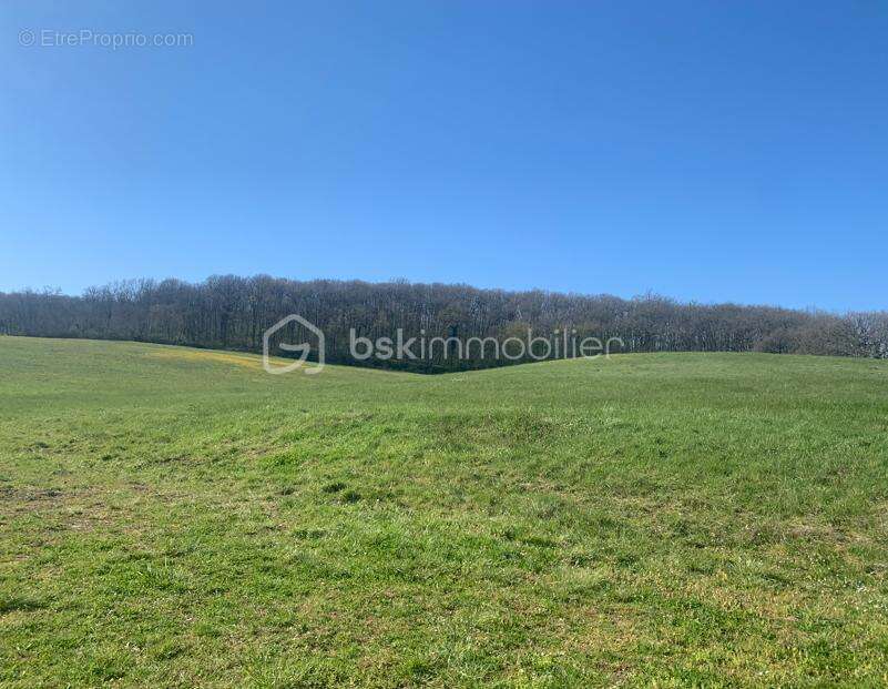Domaine d’Exception de 139 ha à 50 mn de Toulouse - photo 2