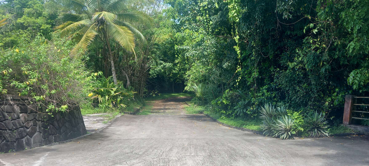 Maison à LES ABYMES