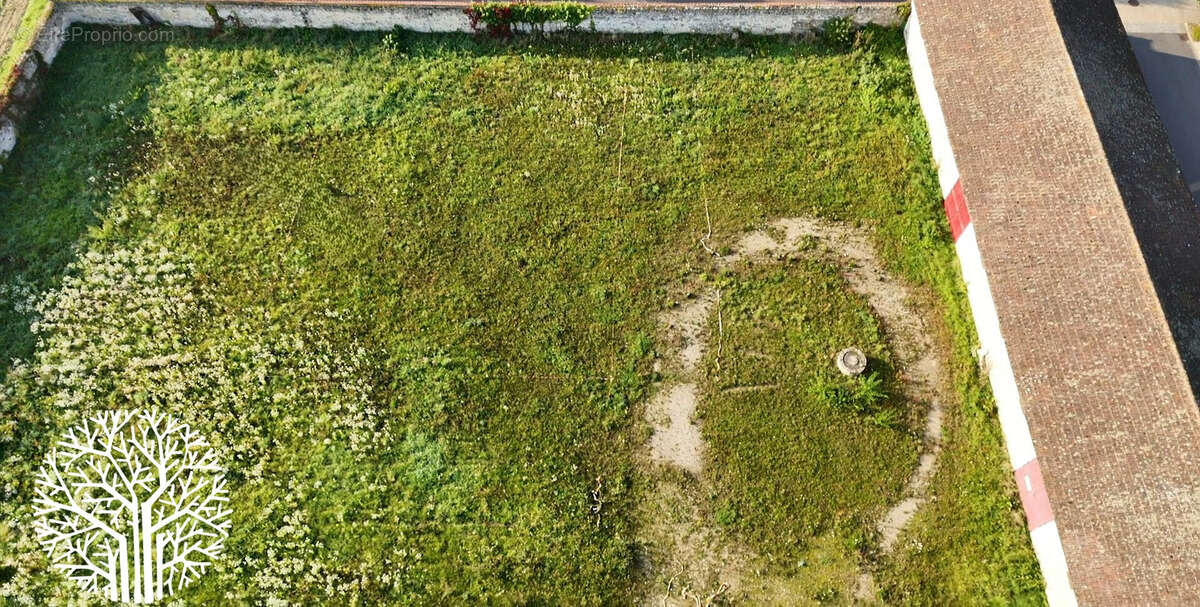 Terrain à COURANCES