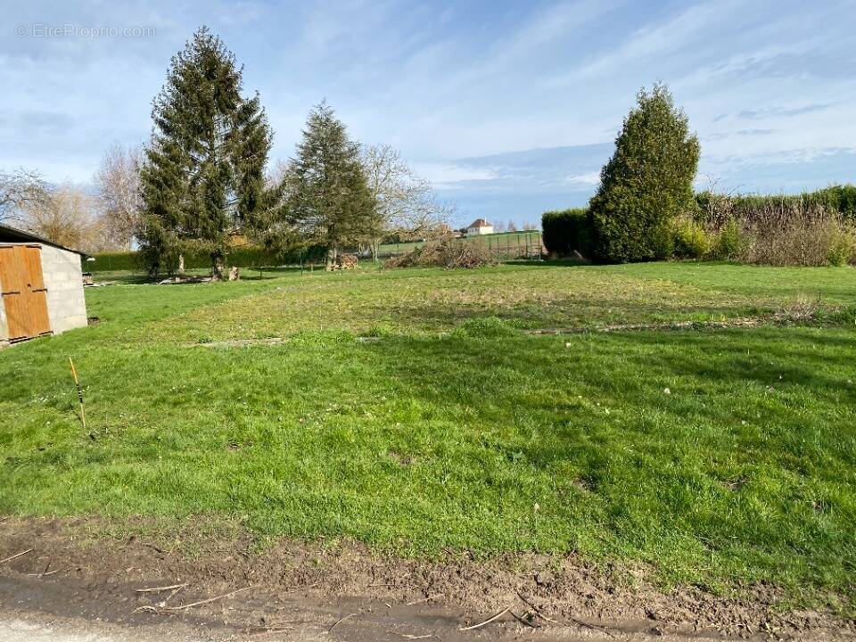 Terrain à BOISSISE-LE-ROI