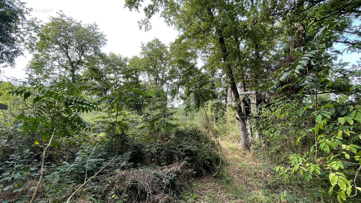 Terrain à SAINT-BREVIN-LES-PINS