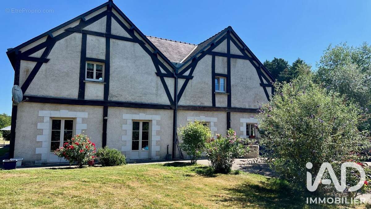 Maison 476 m² à La Croix-En-Touraine  - photo 2