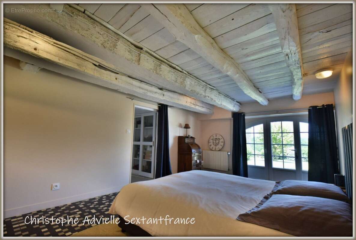 Domaine avec maison d'habitation et piscine, fonds de commerce pension féline et canine, stabulation sur 4 Ha - photo 10