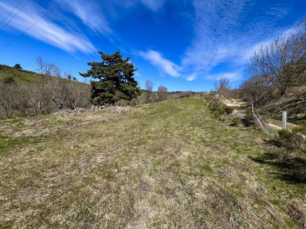 Terrain à RIEUTORT-DE-RANDON