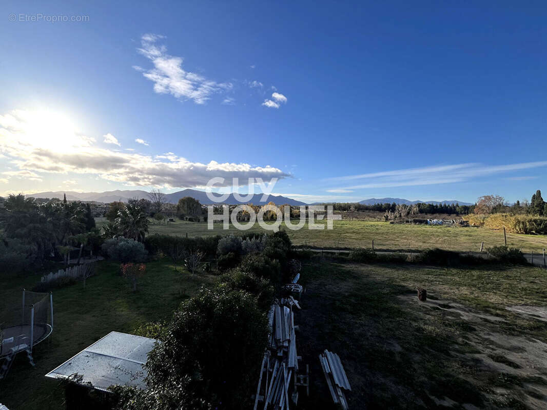 Commerce à PERPIGNAN