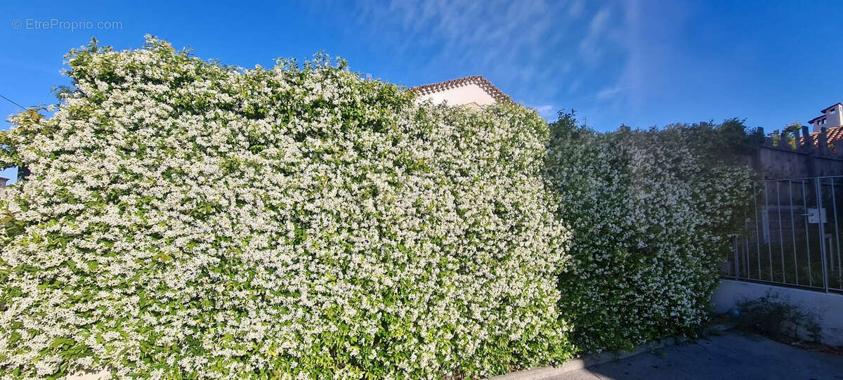 Maison à MONTPELLIER