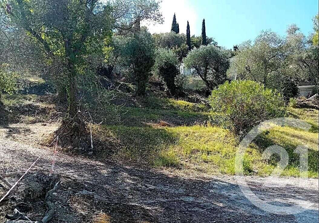 Terrain à ROQUEBRUNE-CAP-MARTIN