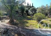 Terrain à ROQUEBRUNE-CAP-MARTIN