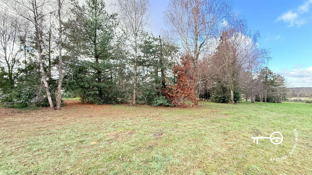 Terrain à MONTRIEUX-EN-SOLOGNE