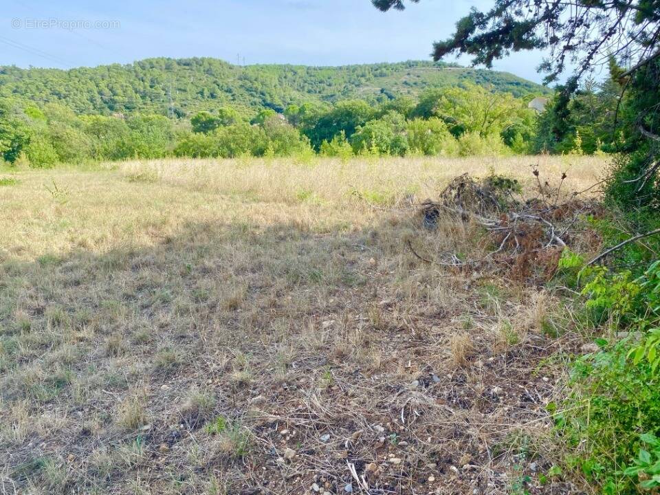 Terrain à CLERMONT-L&#039;HERAULT