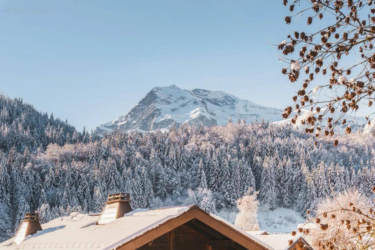 Appartement à ARACHES-LA-FRASSE