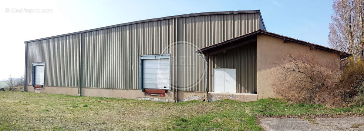 Commerce 3100 m² à Saint-Clement-Les-Places  - photo 2