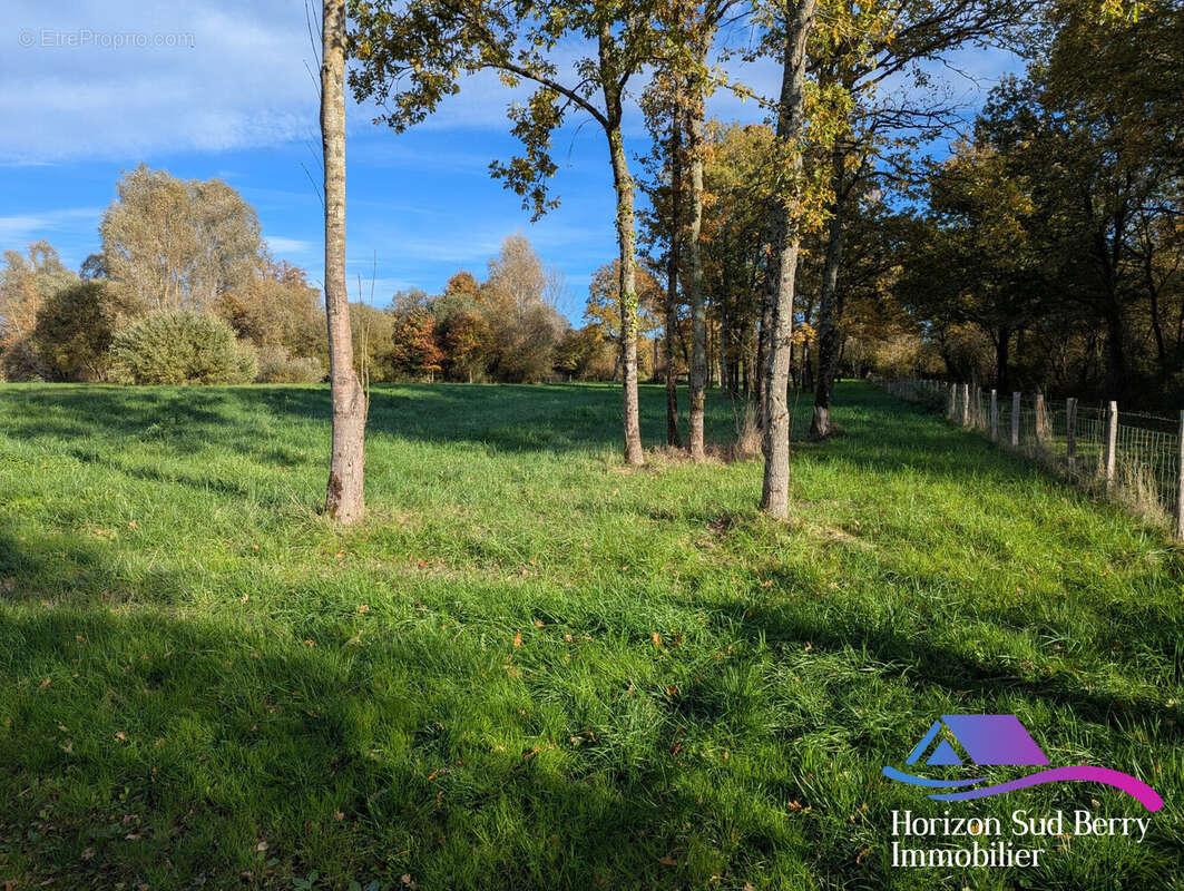 Terrain - Terrain à LE CHATELET