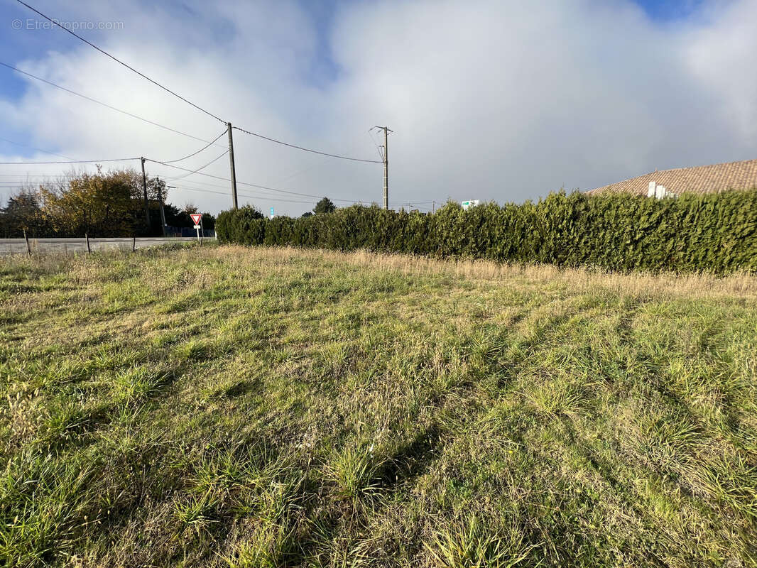 Terrain à AUBERIVES-SUR-VAREZE