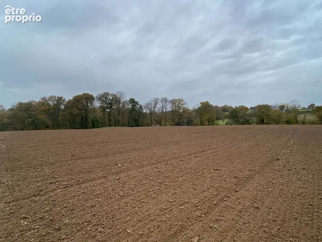 Beaux bâtiments, campagne de plestan, au calme ! - photo 9