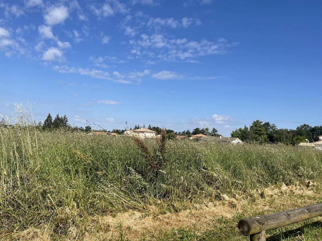 Terrain à VOUNEUIL-SOUS-BIARD
