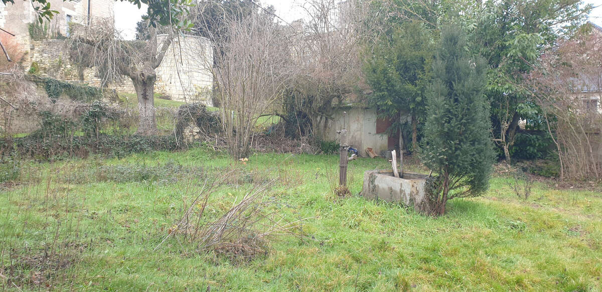 Terrain à SAINTE-MAURE-DE-TOURAINE